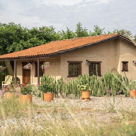 Privada Y Comoda Cabana, Casa Margarita, ビジャビエハ エクステリア 写真